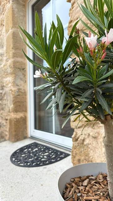 Maison d’hôte pour 4 personnes, avec jardin ainsi que sauna et jacuzzi, animaux acceptés à Caudrot