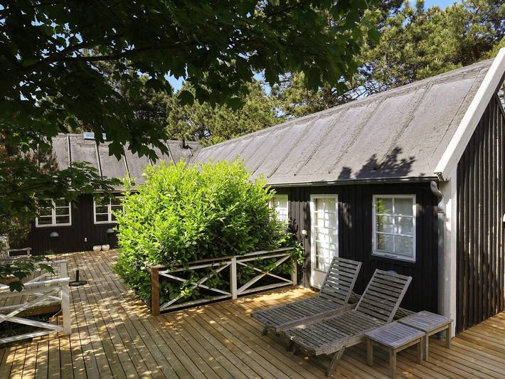 Ferieudlejning for 11 personer, med terrasse, husdyr tilladt i Liseleje
