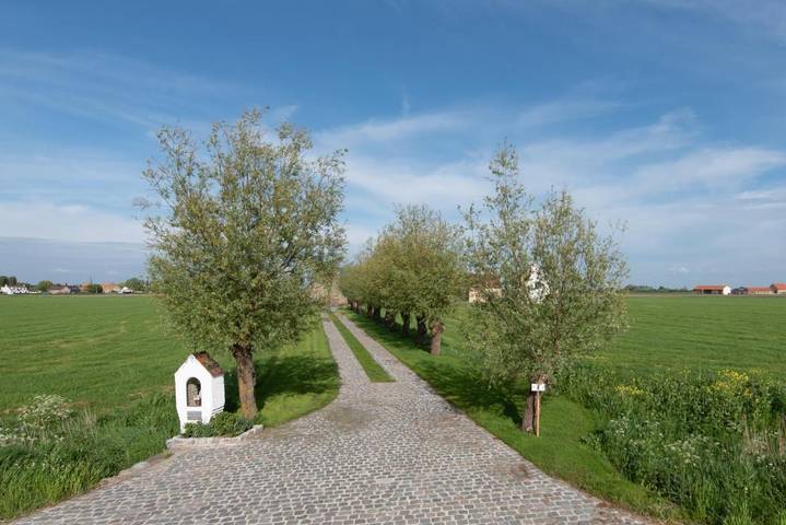 Location de vacances pour 22 personnes, avec jardin à Furnes - 3