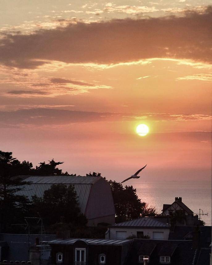 Chambre d’hôte pour 2 personnes, avec balcon et vue, animaux acceptés à Granville - 3