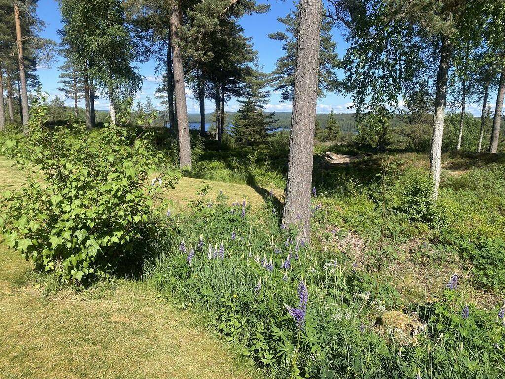 Schweden-Erholung pur in Värmland