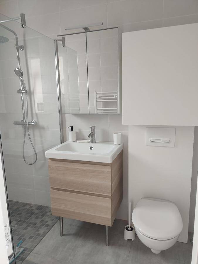 Gîte pour 6 personnes, avec terrasse et jardin à Chavagnes-en-Paillers - 3