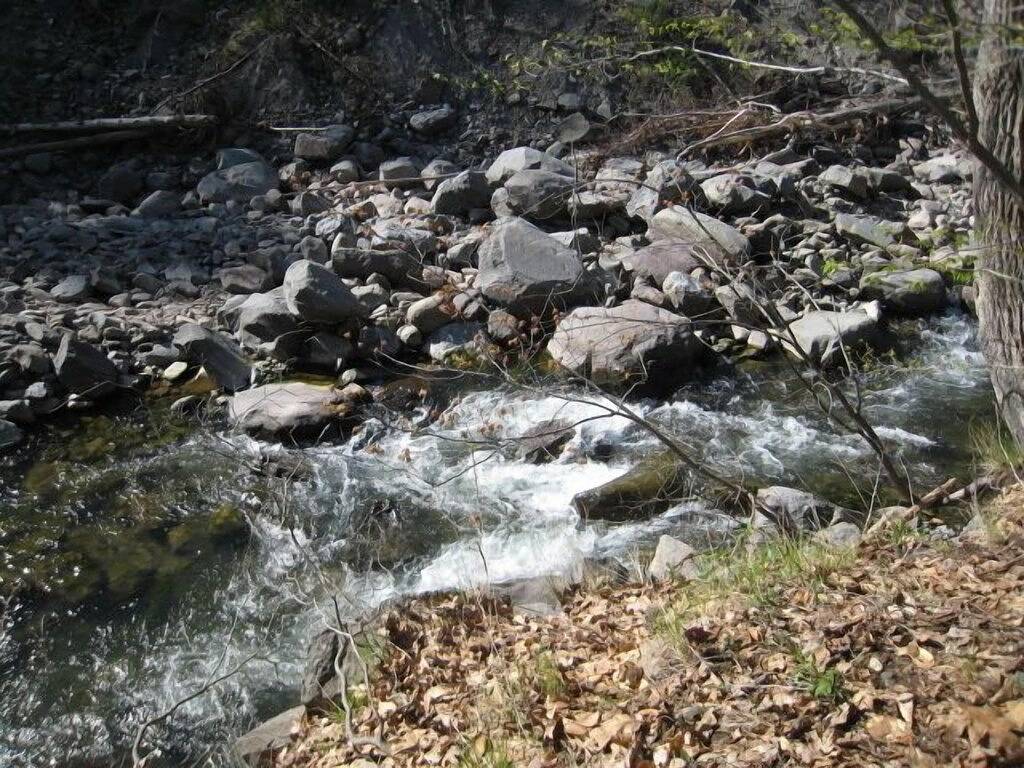 Log Cabin for 3 Guests in Catskill Mountains, Ulster County