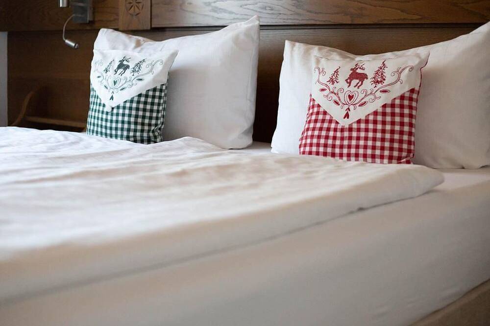 Ganze Wohnung, Schernthaner, Gästehaus - Apartment/1 Schlafraum/Dusche, Wc in Dorfgastein, Ski Amadé