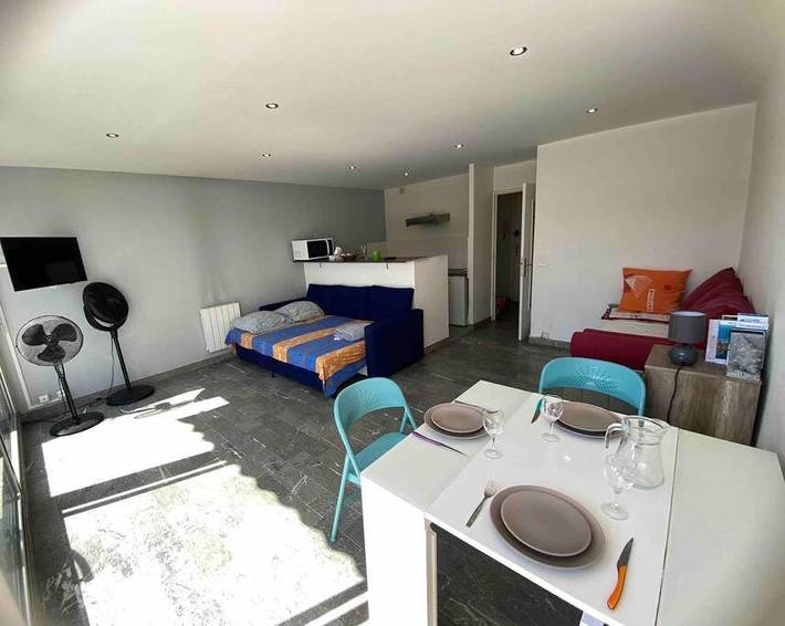 Gîte pour 3 personnes, avec terrasse et jardin dans Plage de l'Esplanade-des-Goëlands - 4