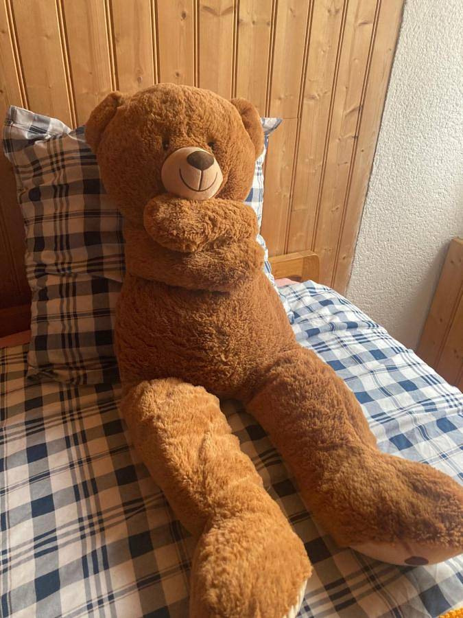 Location de vacances pour 4 personnes, avec jardin, animaux acceptés à Saint-Diéry - 3