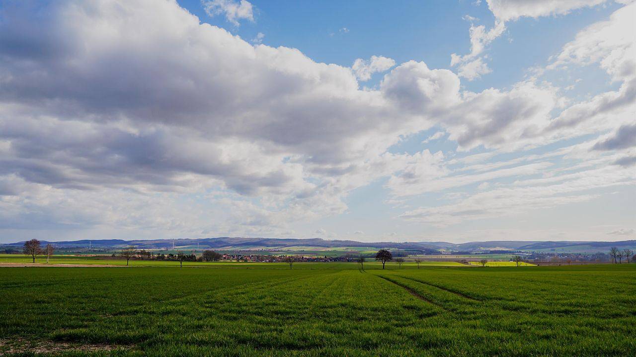 Ferienhaus für 6 Personen (85 m²) in Einbeck in Einbeck, Weserbergland