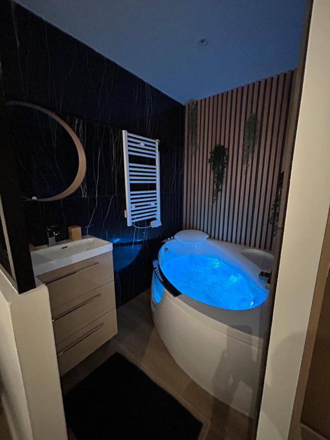 Gîte pour 6 personnes, avec vue et vue sur le lac à Vitrolles - 4