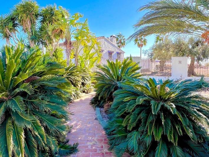 Chalet para 3 personas, con terraza y vistas además de piscina y jardín en Provincia de Alicante - 4