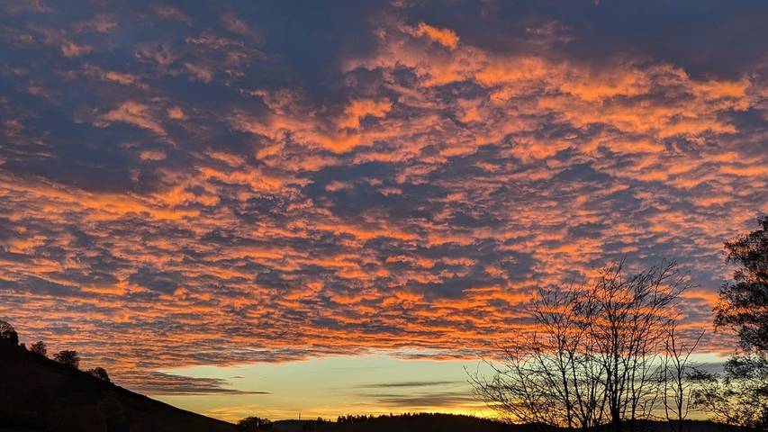 Ferienwohnung für 5 Personen, mit Garten in Schopfheim - 4