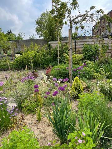 Gîte pour 13 personnes, avec bassin pour enfant ainsi que jardin et vue, animaux acceptés dans Felenne