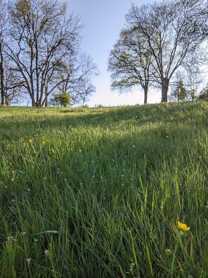 Gîte pour 2 personnes, avec terrasse et piscine ainsi que jardin et vue à Gourgé - 4