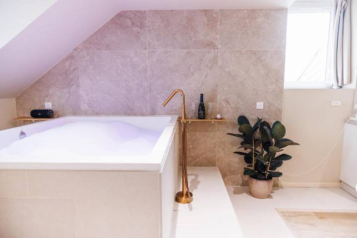 Gîte pour 2 personnes, avec jacuzzi ainsi que sauna et terrasse à Le Mans - 3