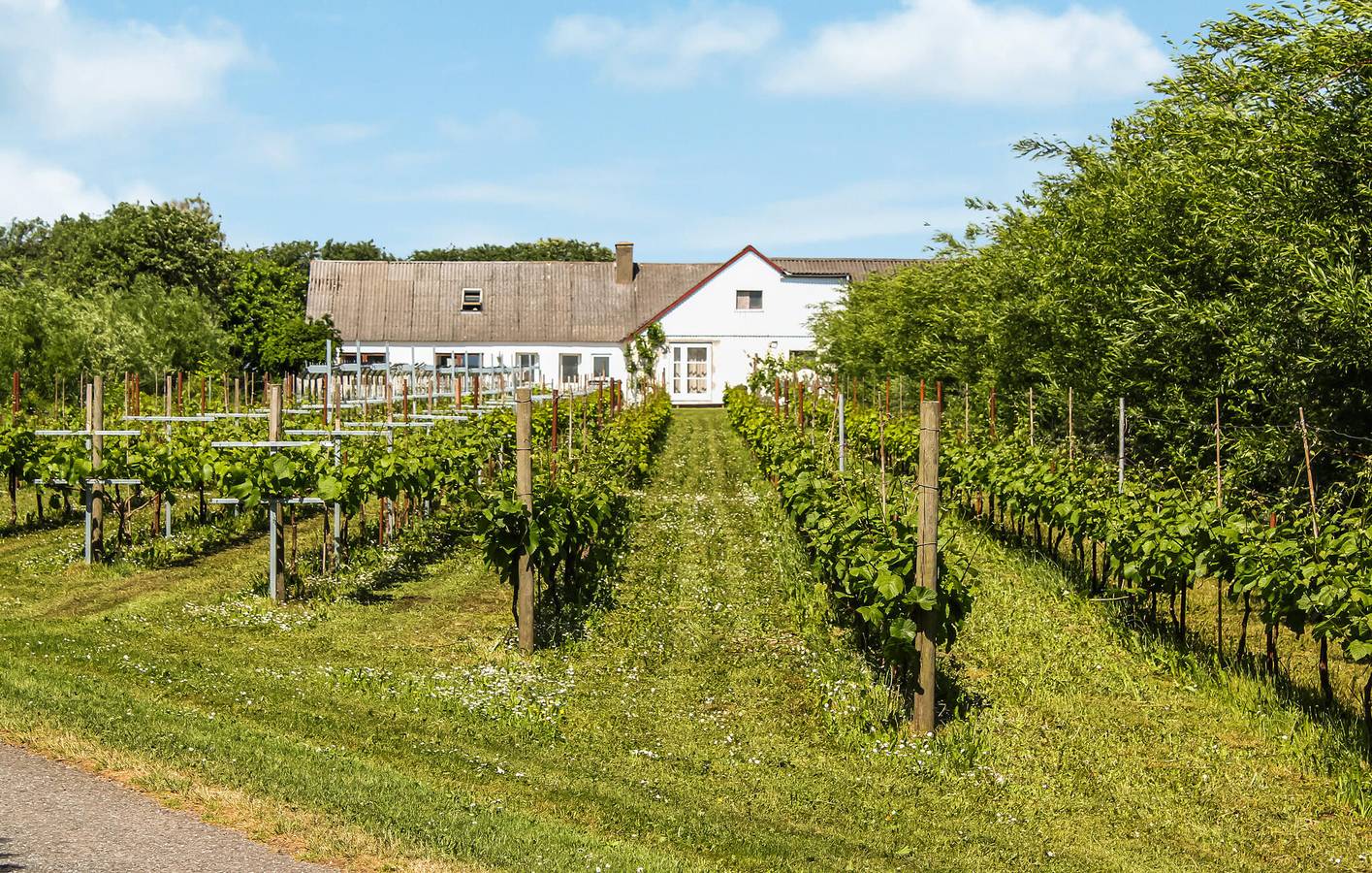 Holiday home for 8 people with garden in Limfjord in Nordjütland