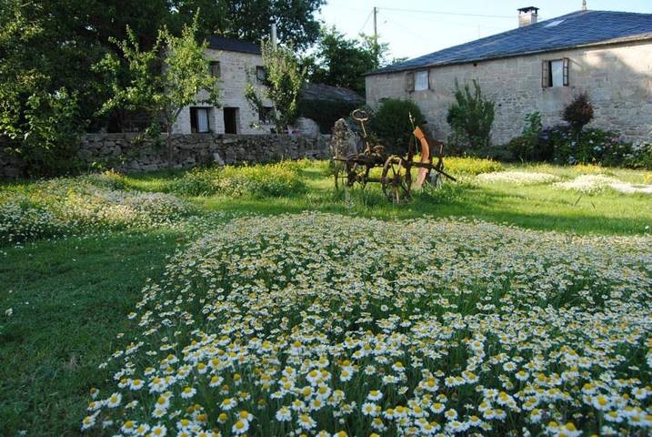 Maison de campagne pour 4 personnes, avec vue et jardin à Sarria (Lugo) - 3