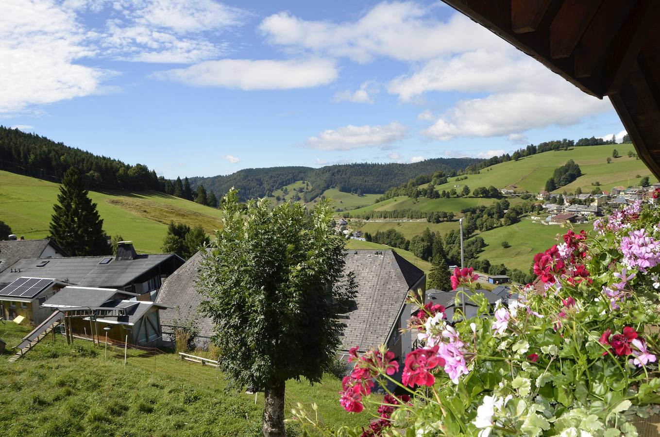 Ganze Ferienwohnung, Sunmattehof - Doppelzimmer Ebnehof mit Balkon in Todtnauberg (Todtnau), Todtnau