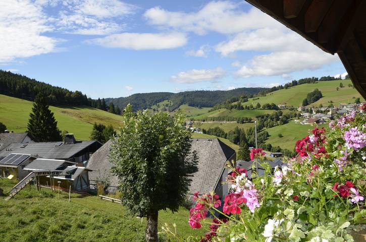 Ferienwohnung für 2 Personen, mit Balkon/Terrasse und Balkon sowie Garten in Todtnau - 3