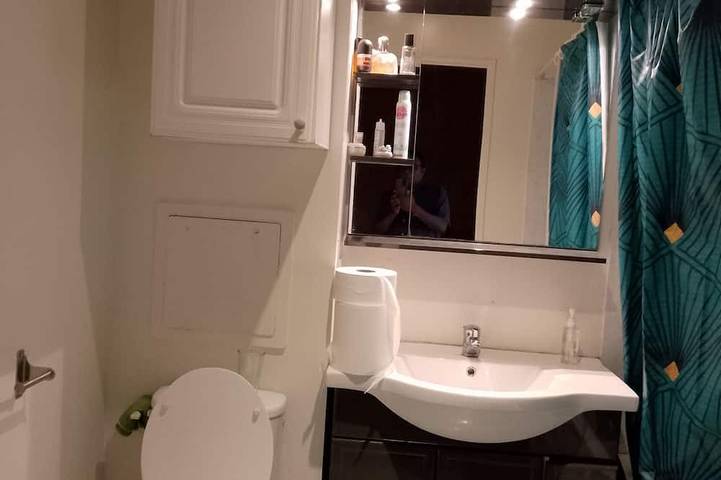 Location de vacances pour 7 personnes, animaux acceptés à Crosne - 4