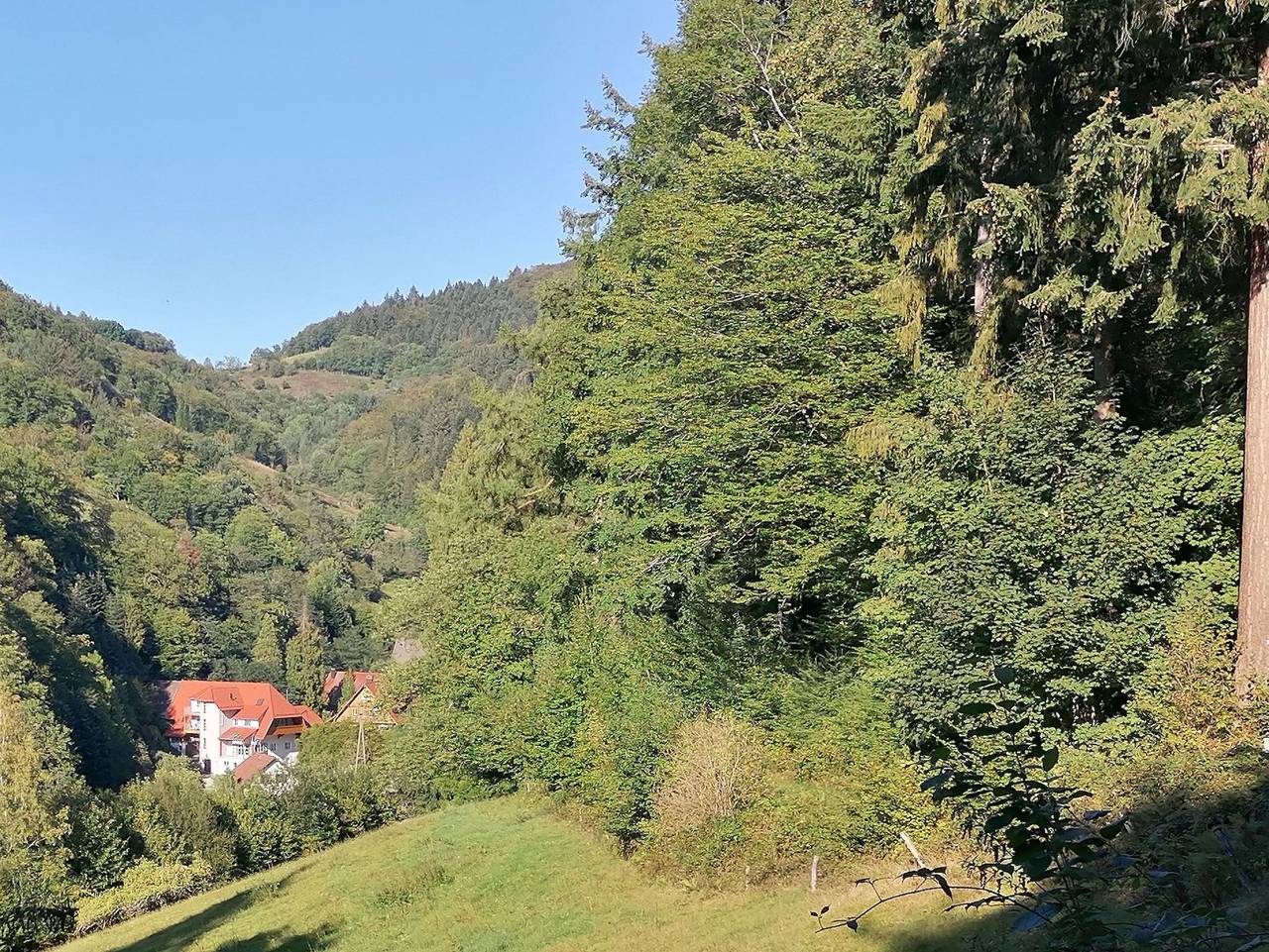 Ganze Ferienwohnung, Huberhof Pfaffenbach in Gengenbach, Mittlerer Schwarzwald