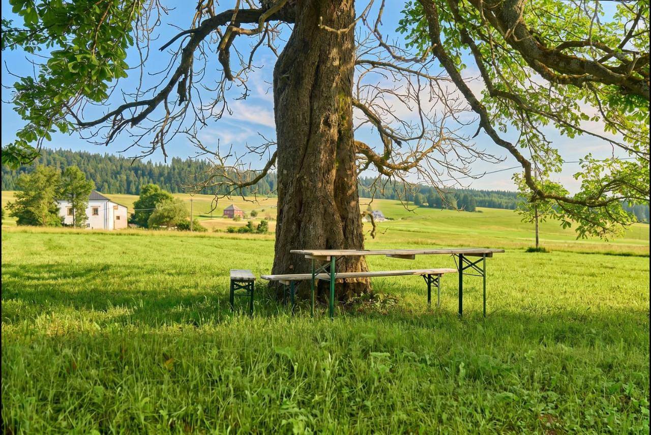 Lenhart's Ryžovna by Mountain ways in Bozi Dar, Karlsbad Regio