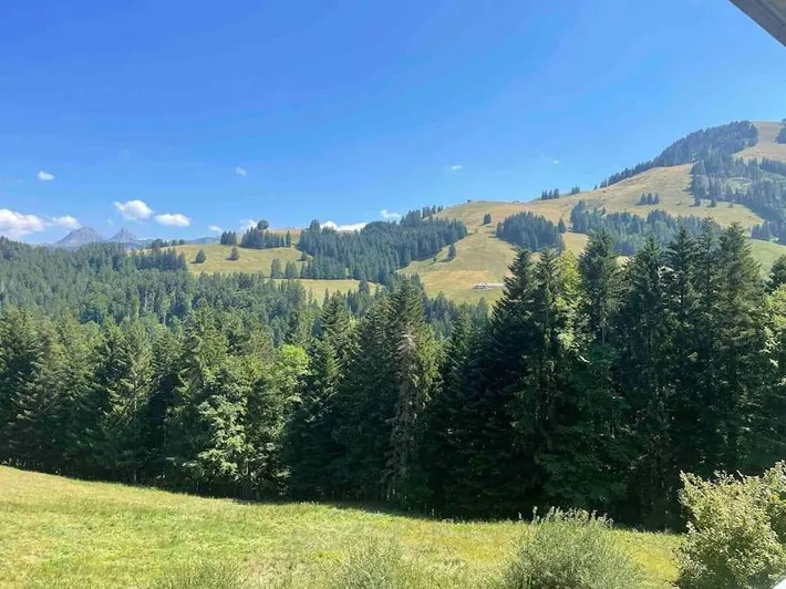 Ferienwohnung für 6 Personen, mit Terrasse und Garten sowie Ausblick, mit Haustier - 1