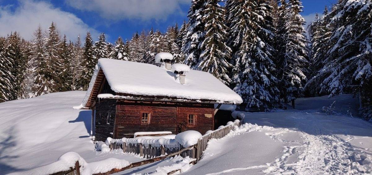 Reh's Wiesen Hütte in Lüsen, Dolomiti Superski