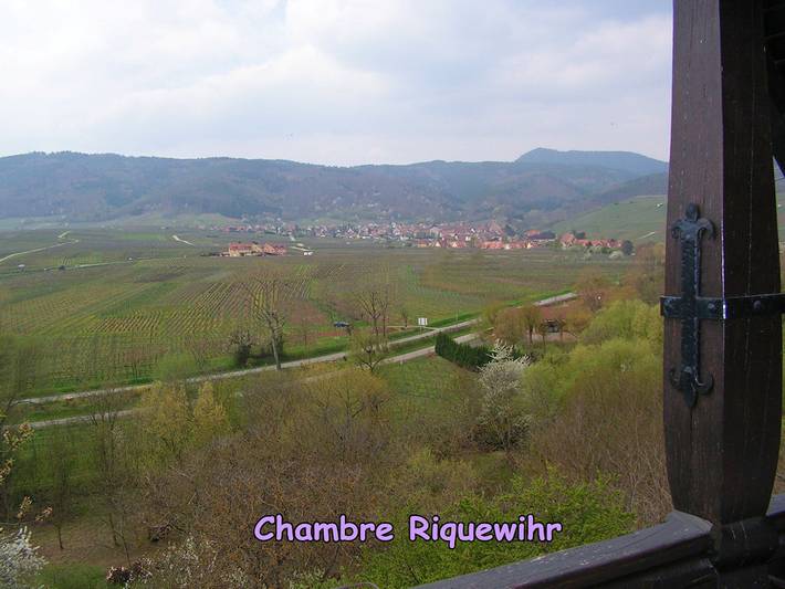 Chambre d’hôte pour 2 personnes, avec jardin, animaux acceptés dans Grand Est - 4