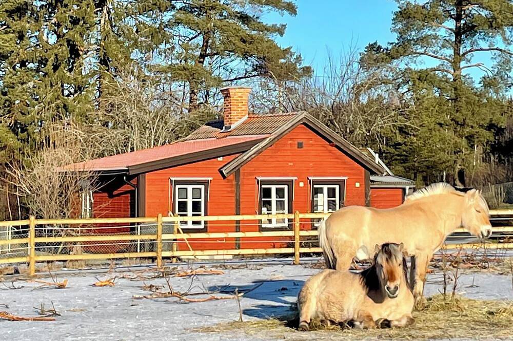 Valstabacken -charming countryside cottage in peaceful Swedish nature in Sala, Västmanland