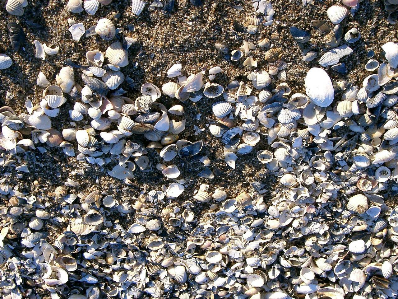 Ganze Ferienwohnung, Damerow Dünenstraße - Ferienwohnung in Zinnowitz, Usedomer Norden