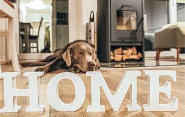 Ferienhaus für 4 Personen in Olpenitz, Kappeln, Bild 3