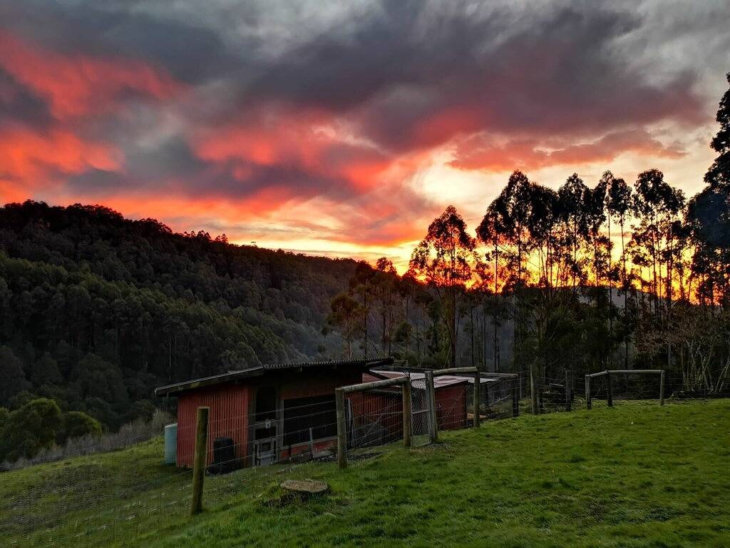 Top of the Otways the Nature Lodge in Wye River, Colac Otway Shire