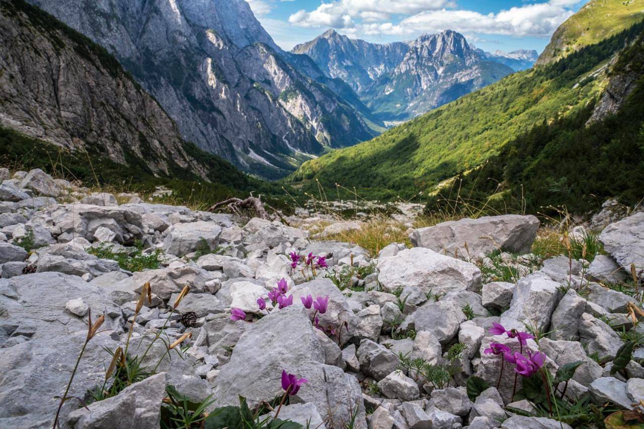 Baita dei Colori in Tarvis, Karnischer Hauptkamm