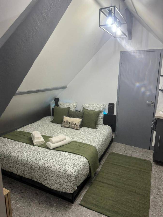 Gîte pour 2 personnes, avec jacuzzi, animaux acceptés à La Chapelle-Saint-Mesmin - 2