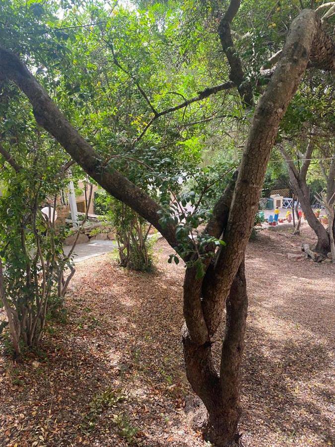 Location de vacances pour 3 personnes, avec jardin et vue à Golfo Aranci - 3