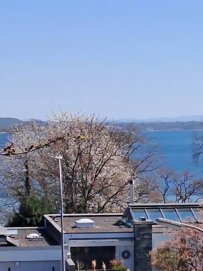 Ferienwohnung für 3 Personen, mit Balkon und Garten sowie Seeblick in Konstanz