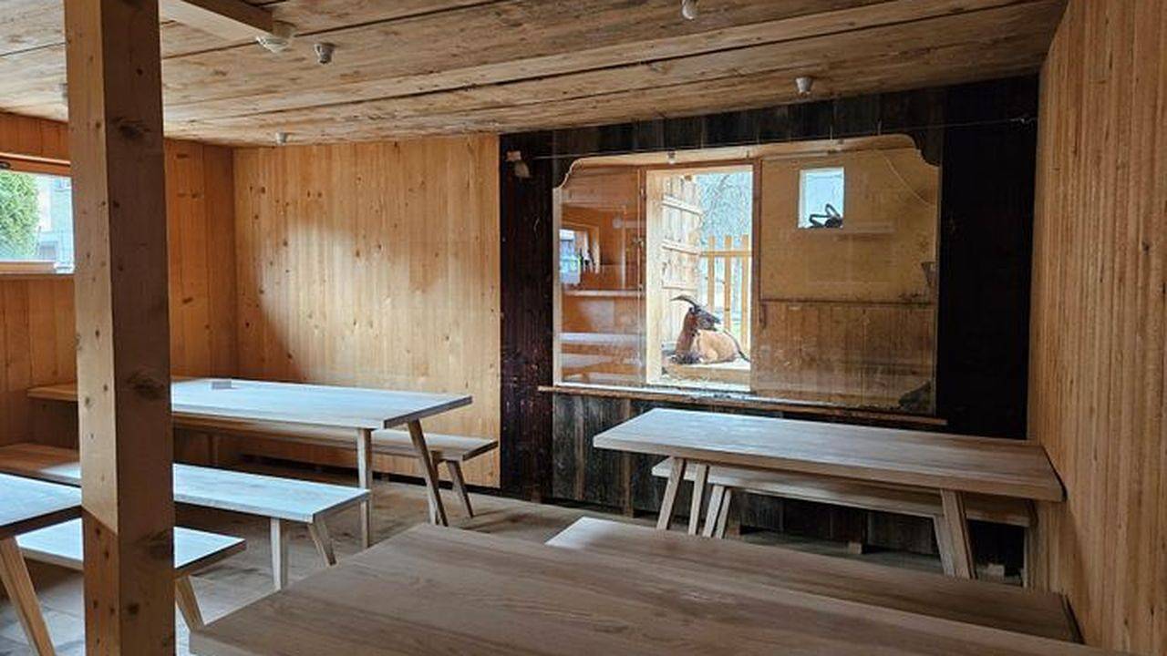 Hotel für 4 Personen (28 m²) in Mellau in Mellau, Bregenzerwald