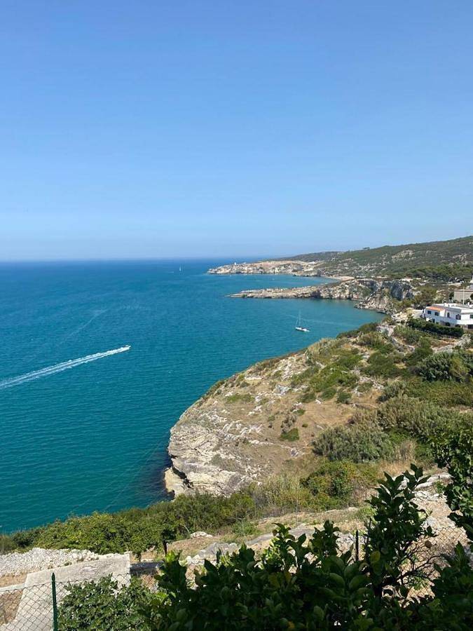 Gîte pour 2 personnes, avec terrasse à Peschici - 2