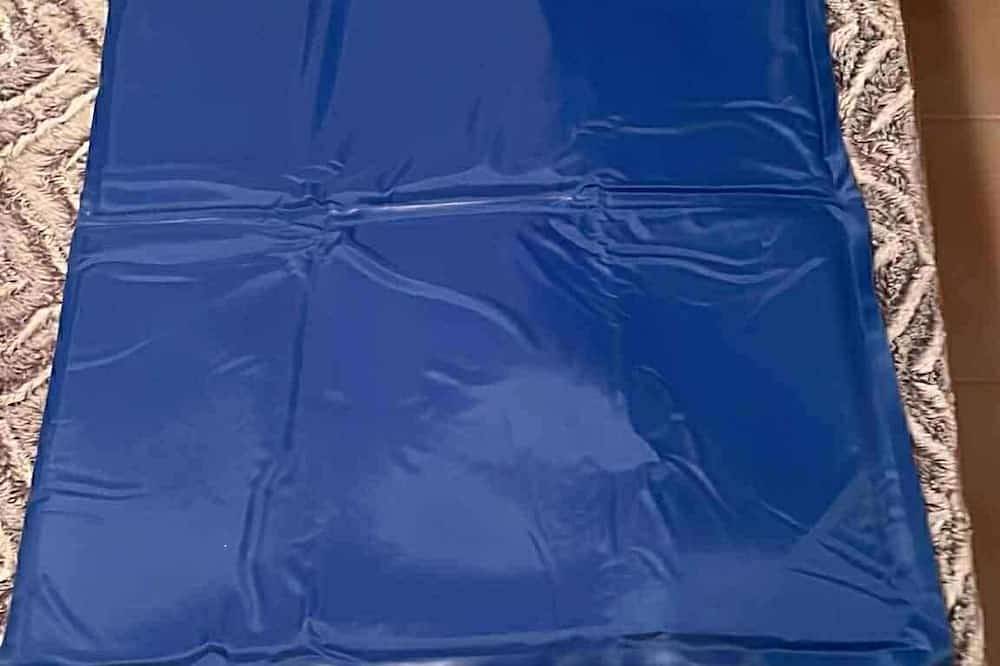 6/9 personas - Piso con vistas al mar y montaña a 400 metros de la playa de San Ginés in El Pinar de San Gines, Cartagena