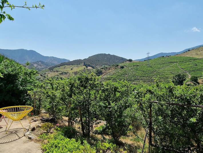 Gîte pour 4 personnes, avec terrasse à Banyuls-sur-Mer - 3