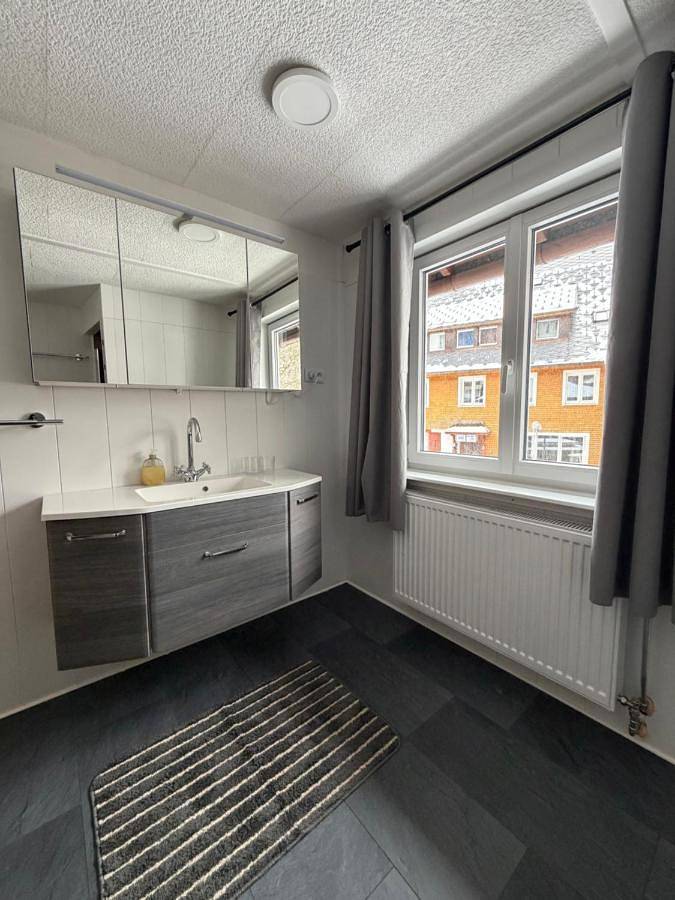 One-Bedroom House in Menzenschwand-Vorderdorf (St. Blasien), St. Blasien