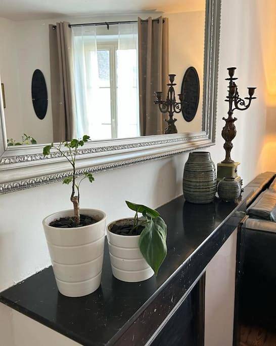 Appartement entier, Chez La Vieille Dame in Cosne-Cours-sur-Loire, Vallée de la Loire