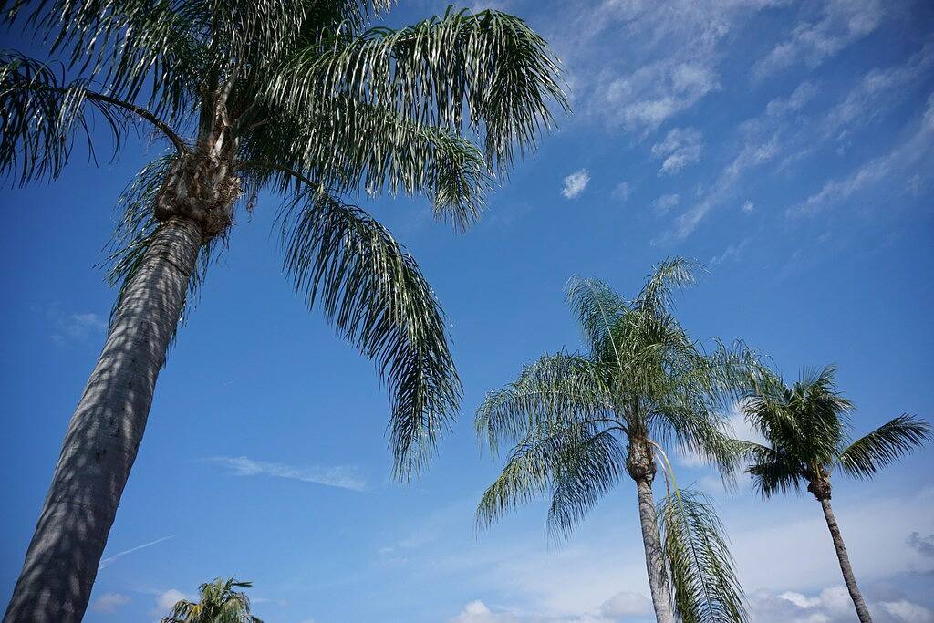 Wunderschönes Haus mit direktem Golfzugang und Pool - brandneues Master-Bad im April 2018 in Cape Coral, Southwest Florida