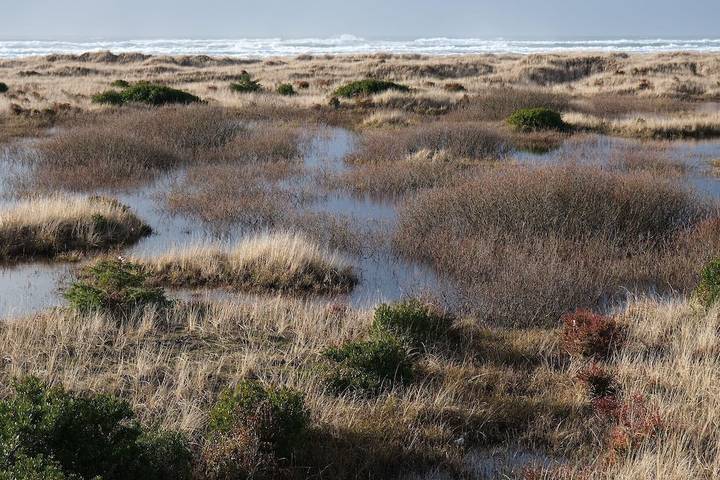 Chalet für 6 Personen, mit Balkon, mit Haustier - 1
