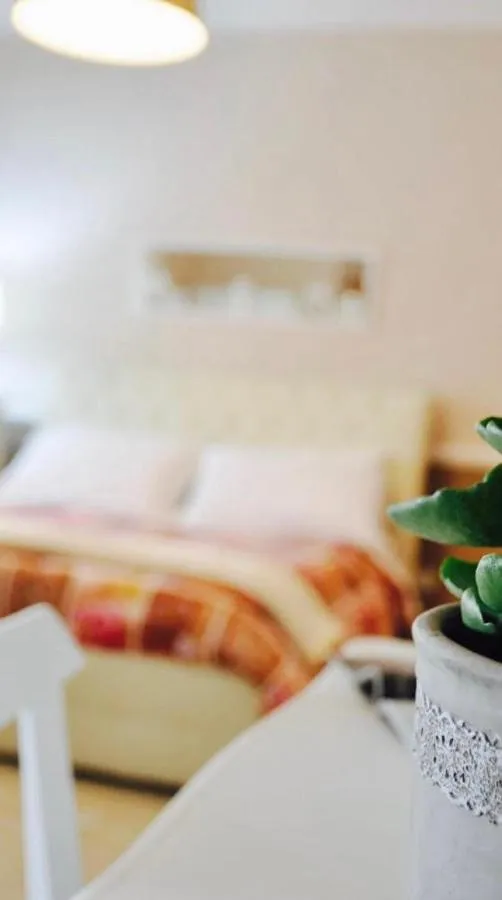 Bed and breakfast for 1 people, with pets - 1