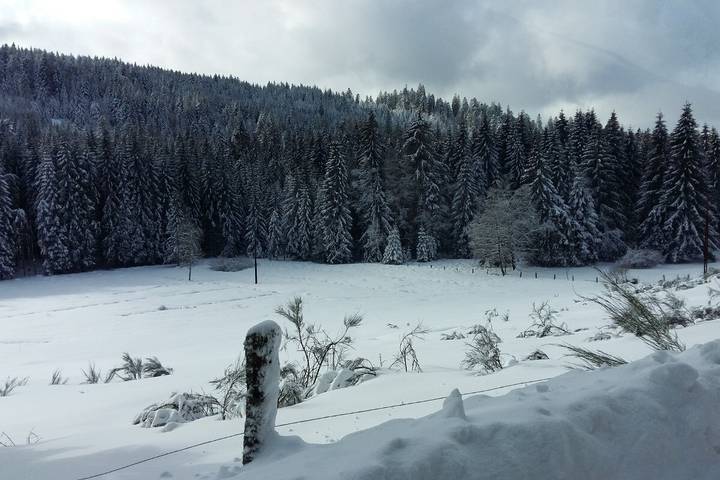 Chalet pour 4 personnes, avec jardin, animaux acceptés dans les Vosges - 3