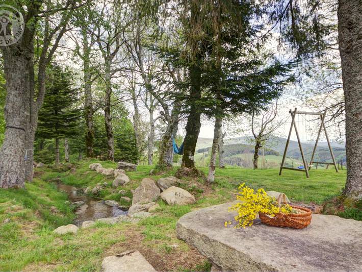 Gîte pour 6 personnes, avec jardin, animaux acceptés dans la Loire - 3