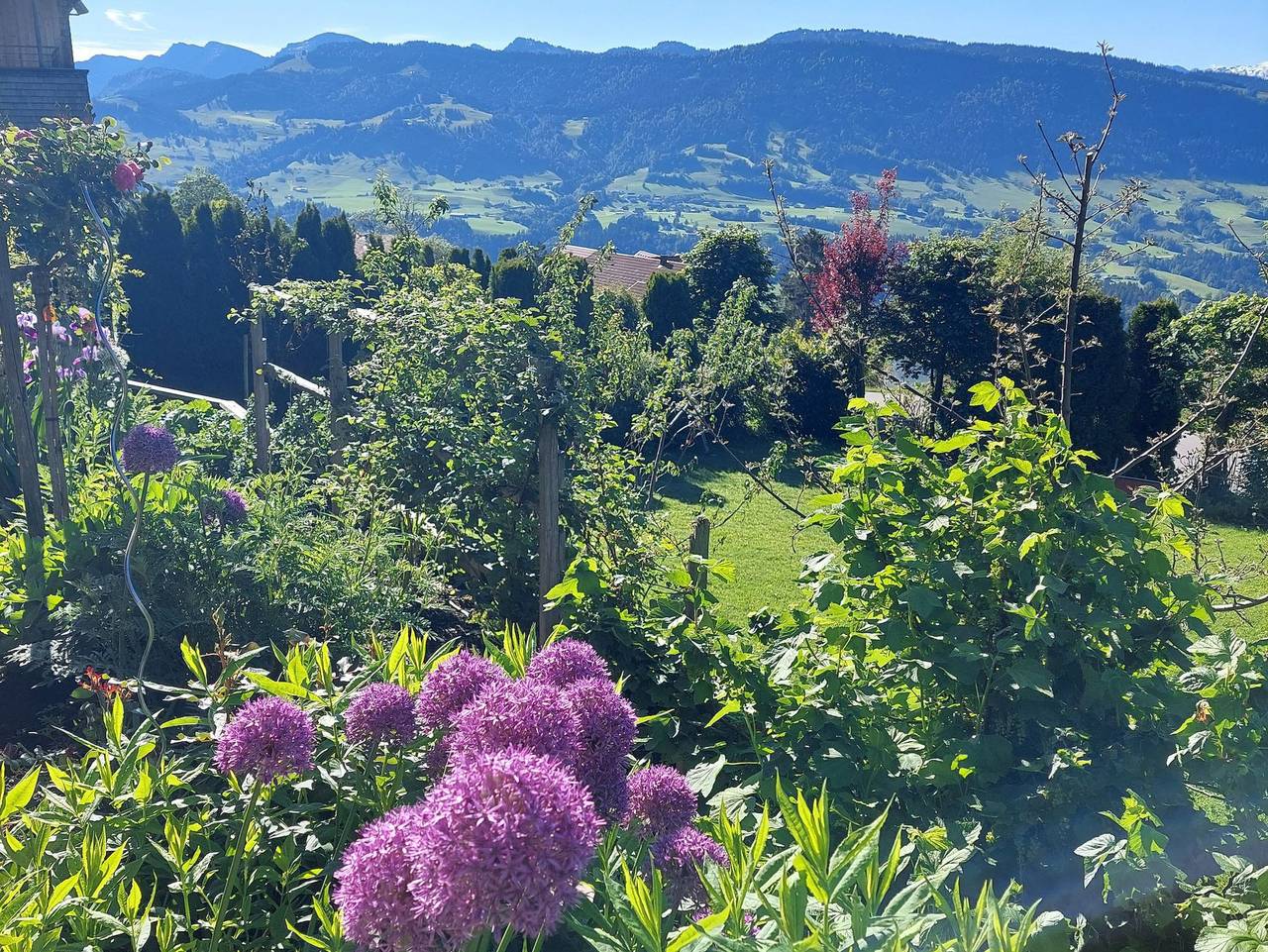 Ganze Ferienwohnung, Ferienwohnung Panorama - neue Ferienwohnung in Sulzberg (Österreich), Bodensee-Vorarlberg