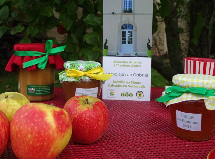 Chambre d’hôte pour 5 personnes, avec jardin en Normandie - 2