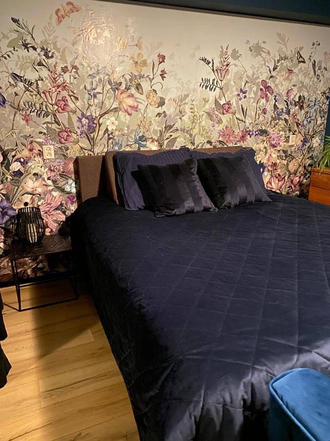 Appartement entier, Apartment - Ground Floor in Heerenveen, Frise