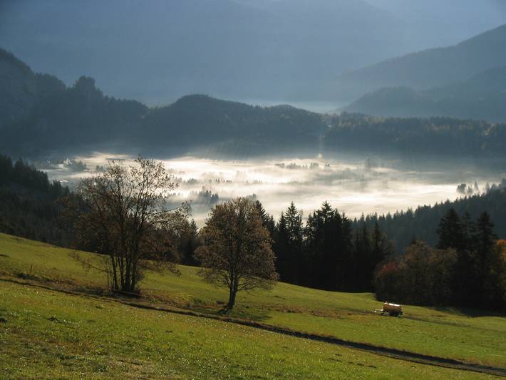 Ganze Ferienwohnung, Plattas - Ferienwohnung 84m2, max 4 Personen, 2 Schlafzimmer, kostenlose Garage, WLAN in Flims Fidaz, Flims